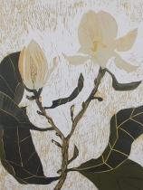magnolia zolta internet.jpg